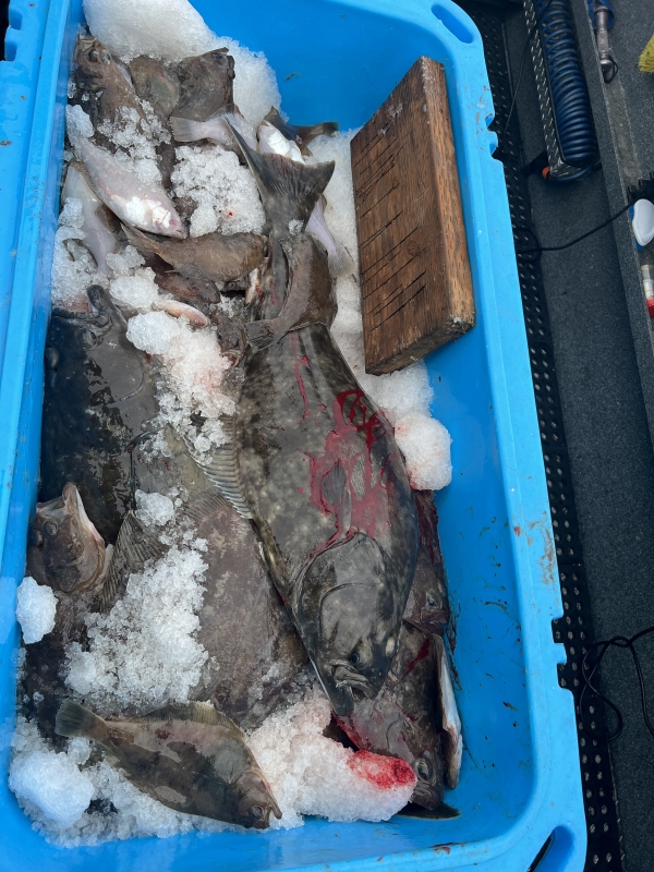 Brookings Bay Fishing